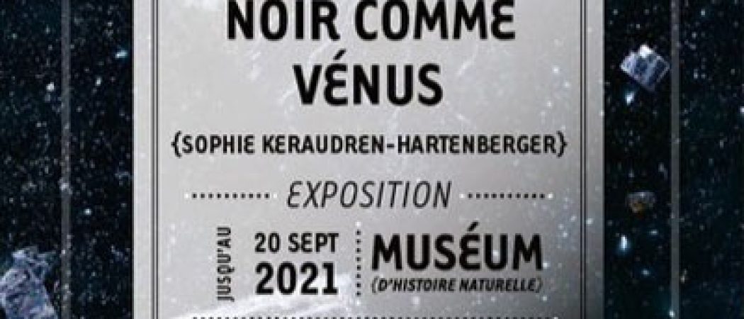 Nantes : « Noir comme Venus » une exposition à découvrir au Muséum d’Histoire Naturelle